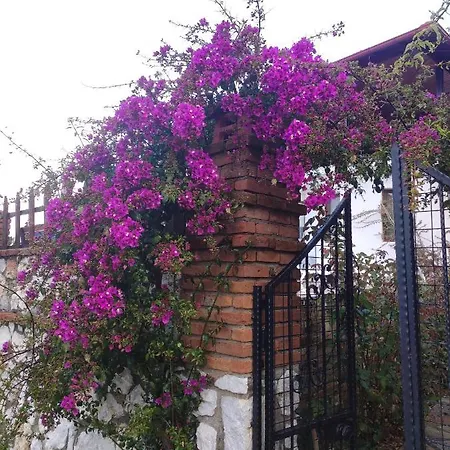 Kucukdere * Μούγκλα